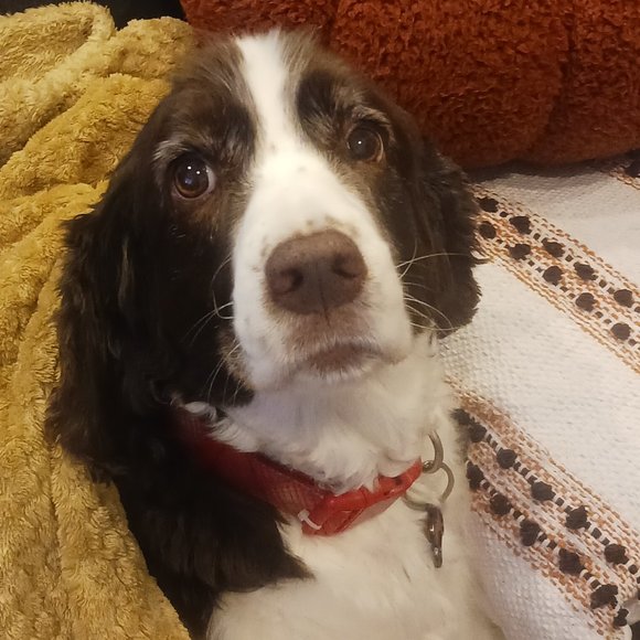 Meet your Posher, Richard - Picture 1 of 1